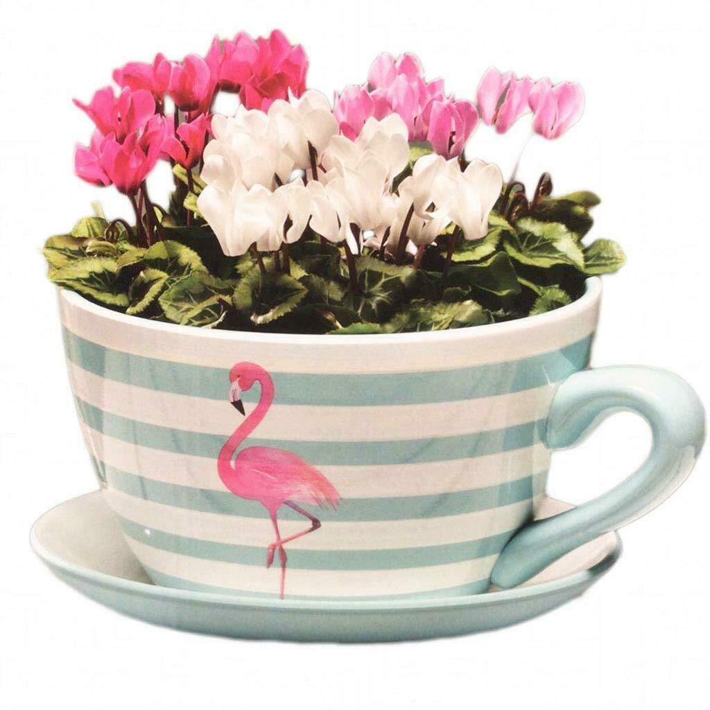 Giant Ceramic Vintage Tea Cup Saucer Planter Plant Pot Holder